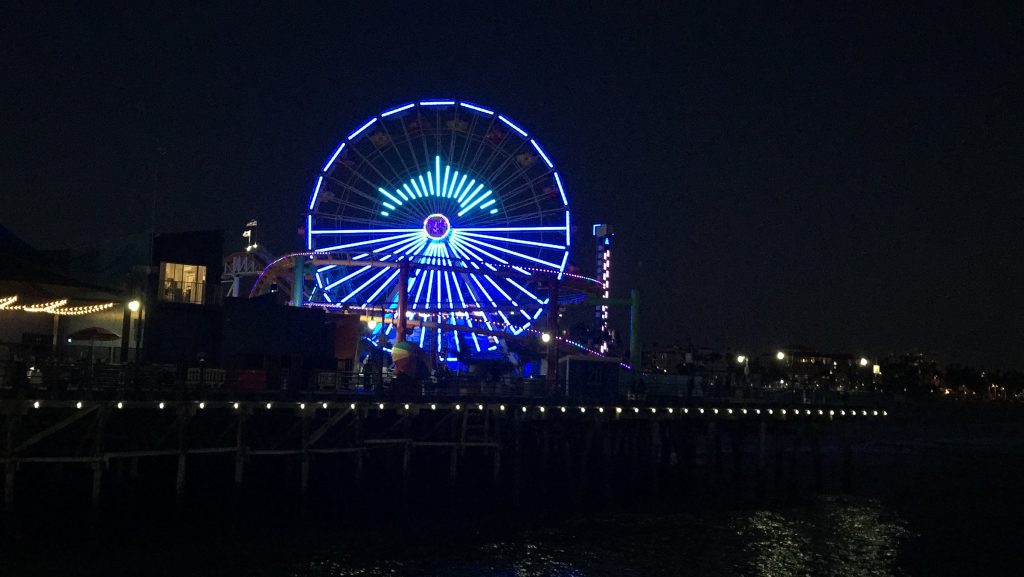 Dolphin on the Ferris Wheel for The Bay Foundation's Fundraiser