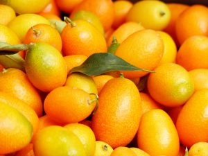 Kumquts