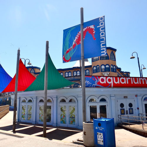 Heal the Bay Aquarium under the Santa Monica Pier