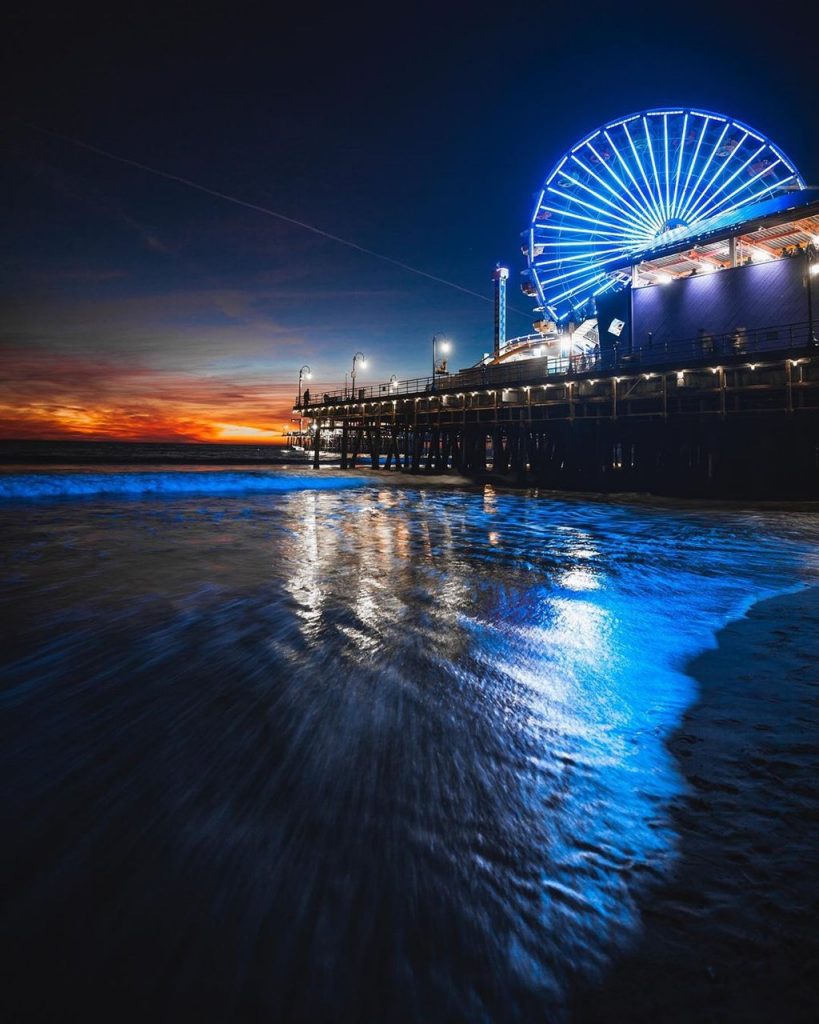 Santa Monica Pier Ferris wheel lit in blue