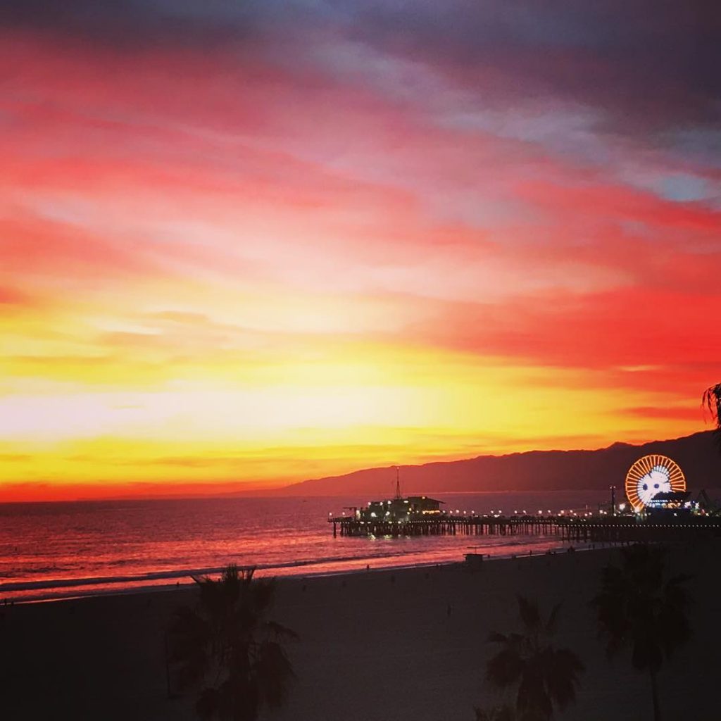 Halloween skull on the Pacific Wheel - photo by @ellemcdoone