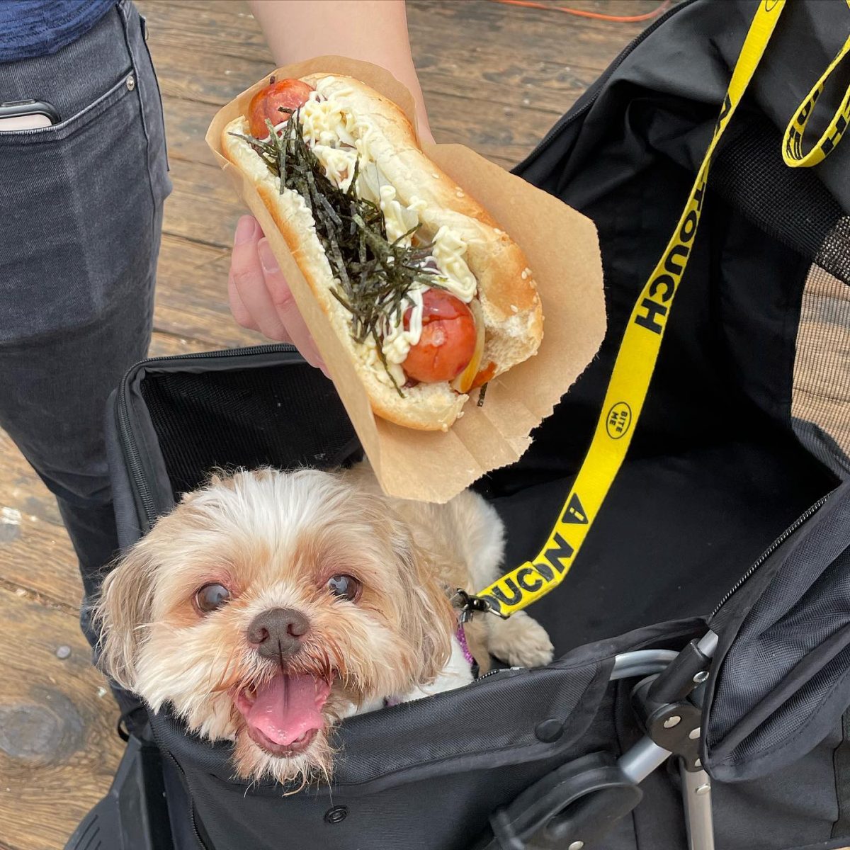 japadog hot dog on the santa monica pier